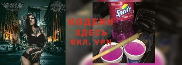 spice Вяземский