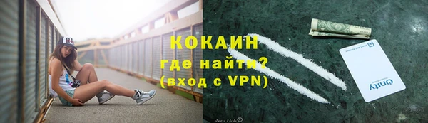 дживик Навашино