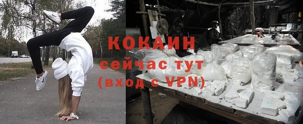 дживик Навашино