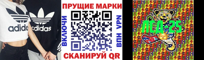 как найти наркотики  Кадников  Наркотические марки 1,8мг 