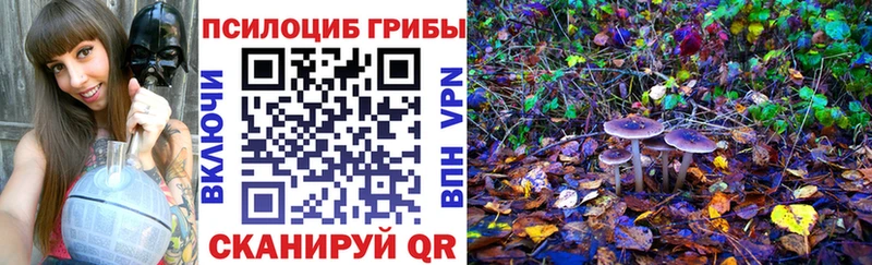 mega маркетплейс  Кадников  Псилоцибиновые грибы Magic Shrooms 